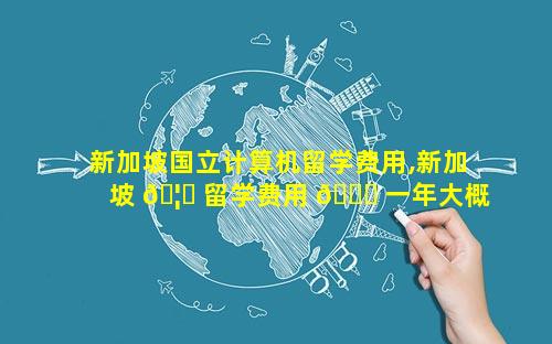 新加坡国立计算机留学费用,新加坡 🦋 留学费用 🐞 一年大概多少人民币